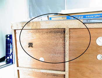 流し台裏側