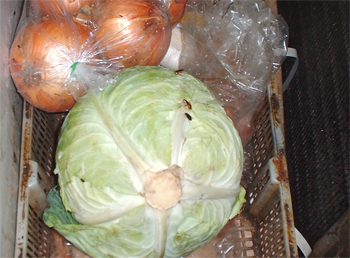 食材置場周り
