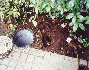 床下の排水・トイレの配管